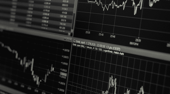 Onde investir quando o juro básico da economia brasileira cair?